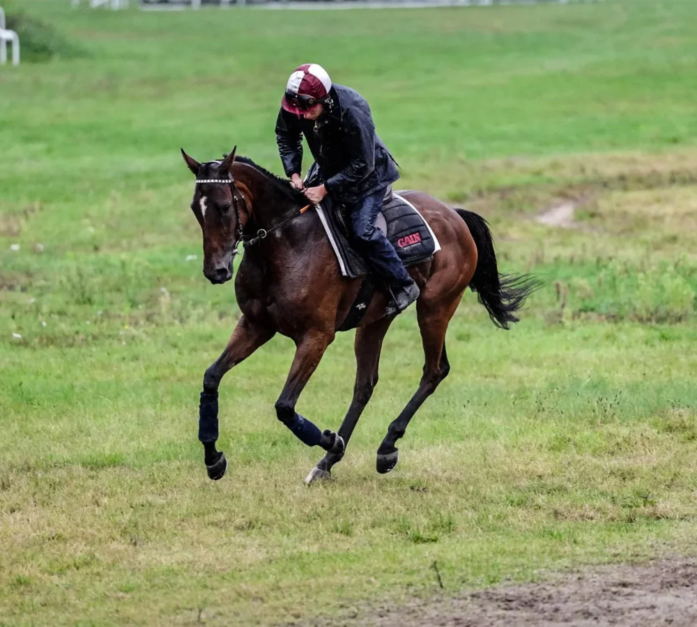 WhatsApp Image 2024-11-30 at 12.58.30 (6)